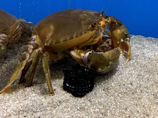 IMG_7380.jpg